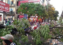 Thời tiết hôm nay 18/3, khí lạnh tràn về, Hà Nội gió giật mưa giông