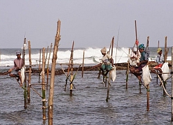 Ấn tượng và độc đáo khi dùng cà kheo câu cá, của ngư dân quốc đảo Sri Lanka