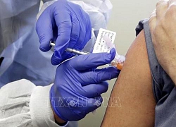 Indonesia khởi động nghiên cứu sản xuất vaccine phòng COVID-19