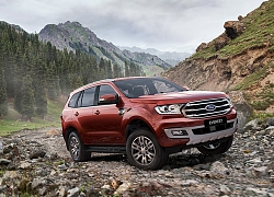 Ford Everest 2019 và Ford Ranger 2019 rò rỉ dầu: Cơ quan chức vào cuộc xử lý