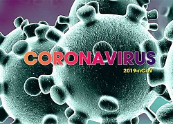 Công nghệ mới giúp xét nghiệm cực nhanh với coronavirus