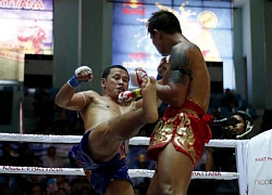 Lạ lùng võ Myanmar: Knock-out đối thủ ngất lịm lại nhận kết quả cay đắng