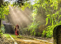 Lòng lặng thì nghiệp yên