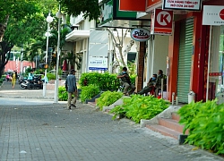 TPHCM cách ly khu chung cư cao cấp Park View