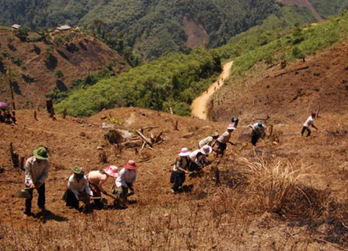 Ninh Bình: 5 năm, nguồn vốn cho vay hộ mới thoát nghèo đạt 316,892 tỷ đồng