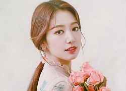 Park Shin Hye được khen ngợi hết lời khi miễn 100% tiền thuê nhà