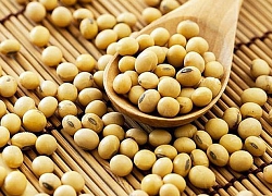 Protein có trong đậu nành tốt hay xấu cho cơ thể?