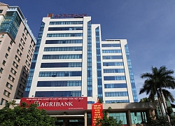 Agribank giảm lãi suất cho vay bằng đồng Việt Nam