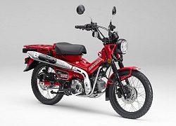 Cận cảnh Honda Super Cub phiên bản cho "dân phượt", mức giá chỉ dành cho dân chơi