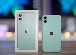 Giá iPhone 11 cũ về dưới 15 triệu tại Việt Nam