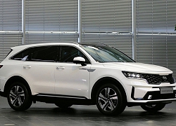 Hyundai Santa Fe đối đầu Kia Sorento 2021