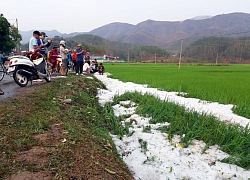 Mưa đá dày đặc, phủ trắng bờ ruộng lúa tại Điện Biên