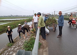 Nam Định: Hơn 2.000 tổ tự quản của nông dân làm đẹp đường thôn