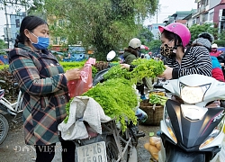 Nghe tên đã thấy ngại, dân tình vẫn lùng mua thứ rau này