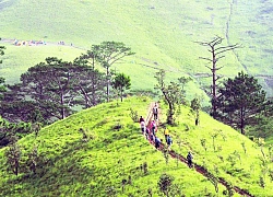 Ngừng trekking cung đường đẹp nhất Việt Nam