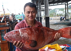 "Săn cá" lúc đang ngủ say