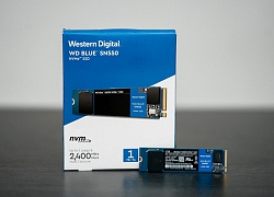 Western Digital chính thức ra mắt WD Blue SN550 NVMe SSD, dòng ổ cứng thế hệ mới, tốc độ xử lý cực nhanh