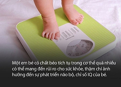 Bà mẹ nói con mình thích hợp làm sumo, xem xong ảnh cư dân mạng coi đó là hiển nhiên