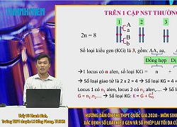 Bí quyết ôn thi THPT quốc gia đạt điểm cao môn sinh: Hiện tượng di truyền