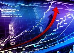 Chứng khoán 25/3: VN-Index bật tăng 16 điểm