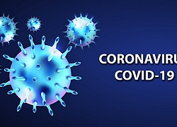 Coronavirus chủng mới có "bộ gene ổn định"