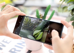 Đẳng cấp camera macro của Galaxy A51 lại là những gì người dùng chẳng mấy khi nhìn thấy