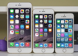 Người dùng iPhone 5S, iPhone 6/6 Plus cần phải biết điều này!