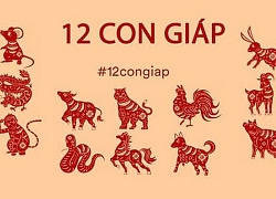 Tử vi tài lộc tháng 3 âm lịch của 12 con giáp: Lộc bổng tuổi Tý rực sáng, sự chủ quan là điểm yếu chí mạng của Mùi, còn Ngọ hãy nhớ 'tham thì thâm'