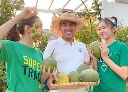 Vườn ngập tràn hoa, trái cây của gia đình Quyền Linh