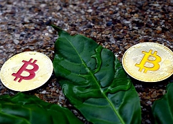 Bitcoin hướng đến 7.700 USD?