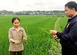 Hỗ trợ giải quyết nước sinh hoạt cho nhân dân vùng hạn, mặn