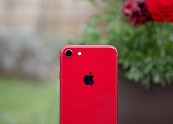 iPhone 9 sẽ ra mắt vào ngày mai?