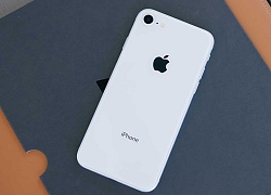 iPhone 9 và iPhone 9 Plus vừa lộ ngày ra mắt, thời điểm đã rất gần kề