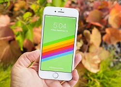 NÓNG: Apple có thể nhận đơn đặt hàng iPhone giá rẻ ngày hôm nay