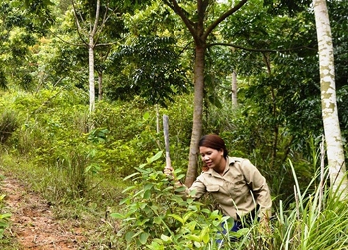 Phát huy trách nhiệm nêu gương của người đứng đầu