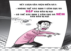 Tòa khó xử vì một... cục đá