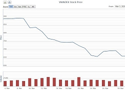 Chứng khoán Việt ngược dòng châu Á, VN-Index lấy lại mốc 700