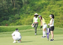 2.746 tỷ đồng đổ về Cty Golf Bình Hải