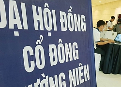 Đại hội cổ đông trực tuyến, chuyên gia "đọc vị" cái khó với doanh nghiệp