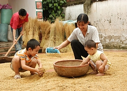 Duy trì vững chắc mức sinh thay thế trên toàn quốc