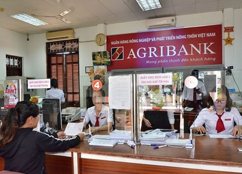 Sẽ bổ sung vốn điều lệ cho Agribank và VAMC trong quý 2/2020