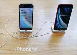 iPhone SE 2020 đang là canh bạc thành công của Apple tại Trung Quốc nhưng tất cả chỉ là tạm thời