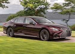 Lexus LS sắp lên đời với nhiều động cơ hơn bao giờ hết, quyết đấu Mercedes S-Class