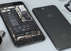 Mổ bụng iPhone SE 2020, phát hiện nhiều linh kiện iPhone đời cũ