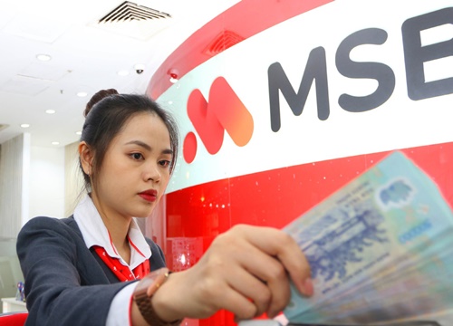 MSB đạt lợi nhuận gần 290 tỷ đồng trong Quý I/2020