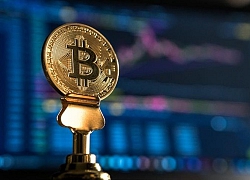 Tăng 'dựng đứng' 13%, Bitcoin vượt 8.700 USD