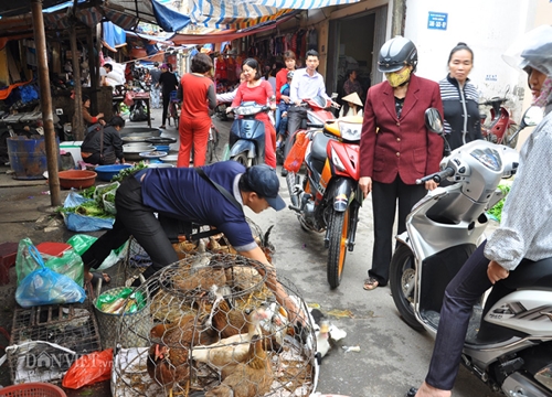 Thịt gia cầm vừa rẻ lại tươi ngon, dễ chế biến, nên mua ăn nhiều