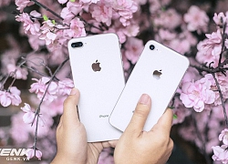 Trong tầm giá 12 - 17 triệu, đây là những mẫu smartphone đáng mua hơn iPhone SE 2020 mới