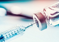 WHO cảnh báo việc vận chuyển vaccine toàn cầu đã bị gián đoạn