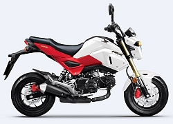 "Xe khỉ" Honda MSX 125cc 2020 nhập nguyên chiếc sắp về đại lý, giá không đổi